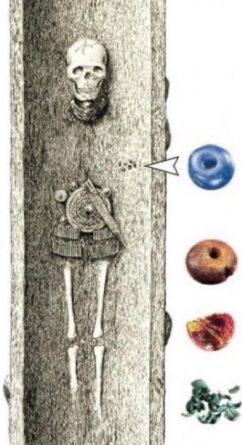 Alexny_85's tweet image. En Dinamarca, hace 3400 años, una mujer fue enterrada en un tronco de roble. Lo sorprendente es que la cuenta de vidrio azul encontrada a su lado…¡procedía del taller egipcio que suministró el vaso de cristal hallado en la tumba de Tutankamón, a más de 5000 km!

📷Science Nordic