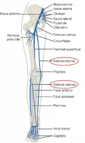 rruizdeadana's tweet photo. El blog de Ricardo Ruiz de Adana Pérez: Trombosis venosa superficial:  cuándo tratar, cuándo anticoagular y cuándo derivar.
https://t.co/M4VYPqeRaG https://t.co/K0eChO1IFE