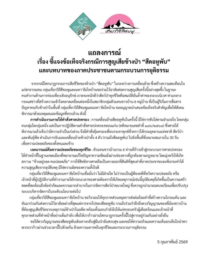 แมวปวดหัว tweet media