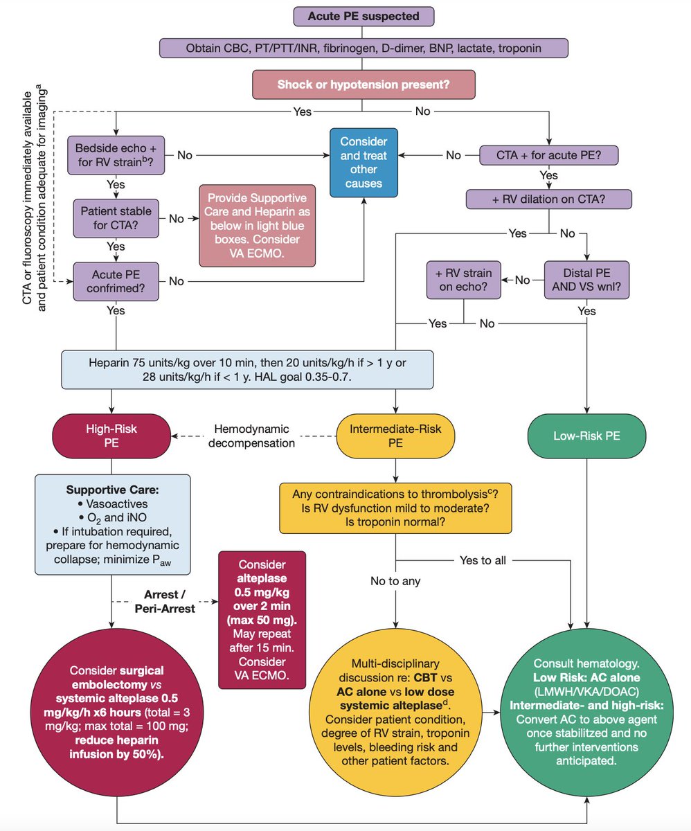 drsthanus's tweet image. The clinical pathway for diagnosing and managing acute pulmonary embolism (PE) in pediatric patients, typically those under 18 years of age. 

It stratifies care based on hemodynamic stability and evidence of right ventricular (RV) strain to categorize patients into high,…