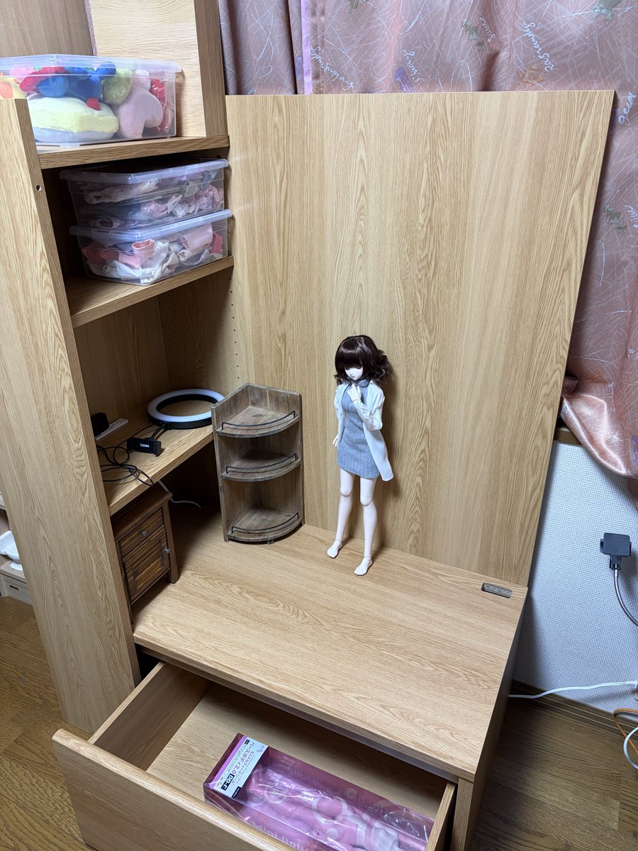 Pureneemomo's tweet photo. ドール撮影スペーススペース完成！ 収納スペースや電源もあっていい感じ。背板は固定しない方向で運用しますか。正規の組み立てをしてしまうと、60cmのDDを立たせた時に背景に可動棚の取り付けレールが見えてしまうのが理由で逆さに置いてるので、そもそも固定ができない。なお２枚目が本来の使用法w https://t.co/qUDCfES4S5
