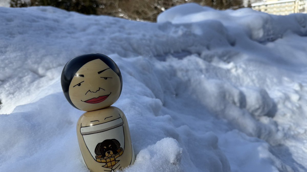 温泉タオル集め旅【公式】 tweet media