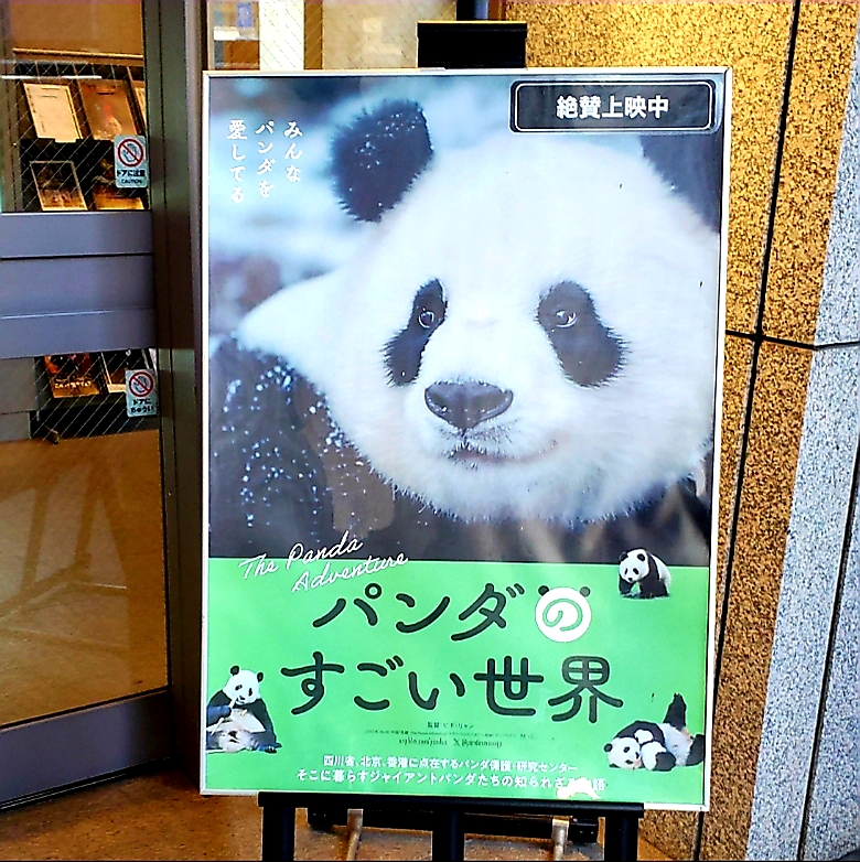 akeytsukako's tweet photo. 「パンダのすごい世界」
84分間パンダにまみれてきました🐼💖

#パンダのすごい世界 
#84分間パンダまみれ https://t.co/U1eDQJgxR4