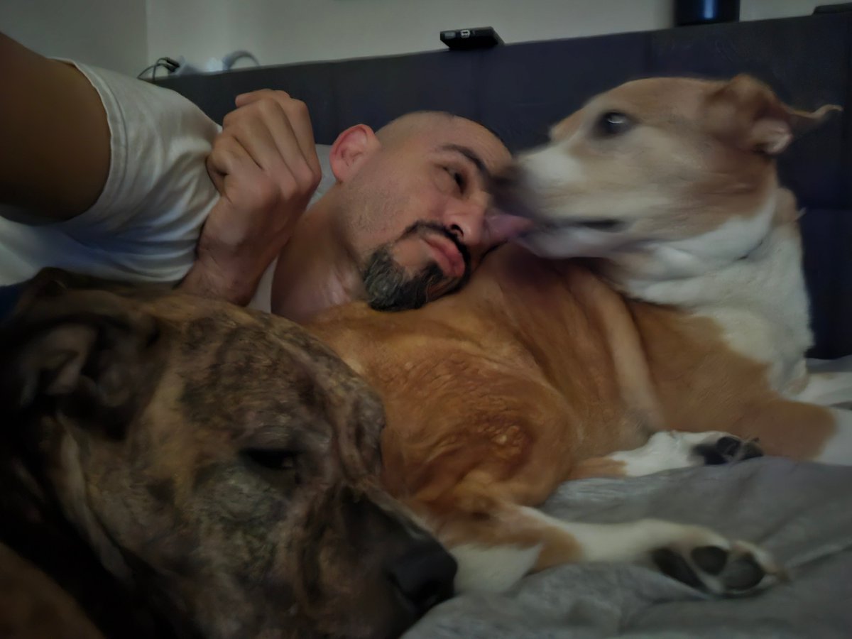 Struggling to get out of bed this morning. For good reason.