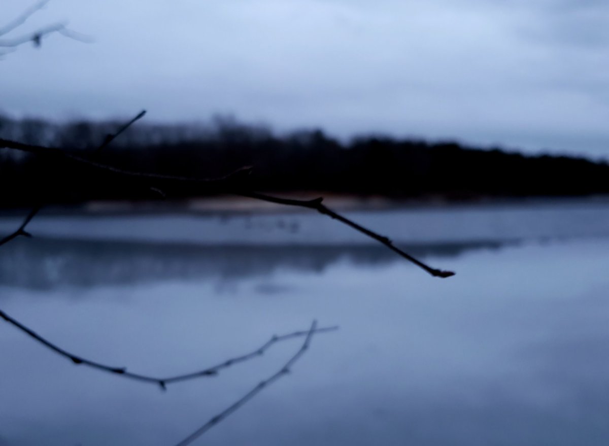 Dave 1411 tweet media