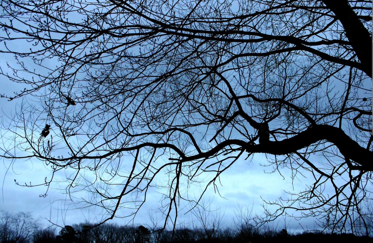 Dave 1411 tweet media