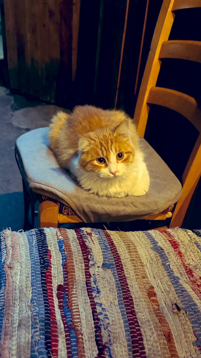 Τα μαγαζιά που αγαπάνε τα ζώα τα αγαπάμε ακόμα περισσότερο !♥️