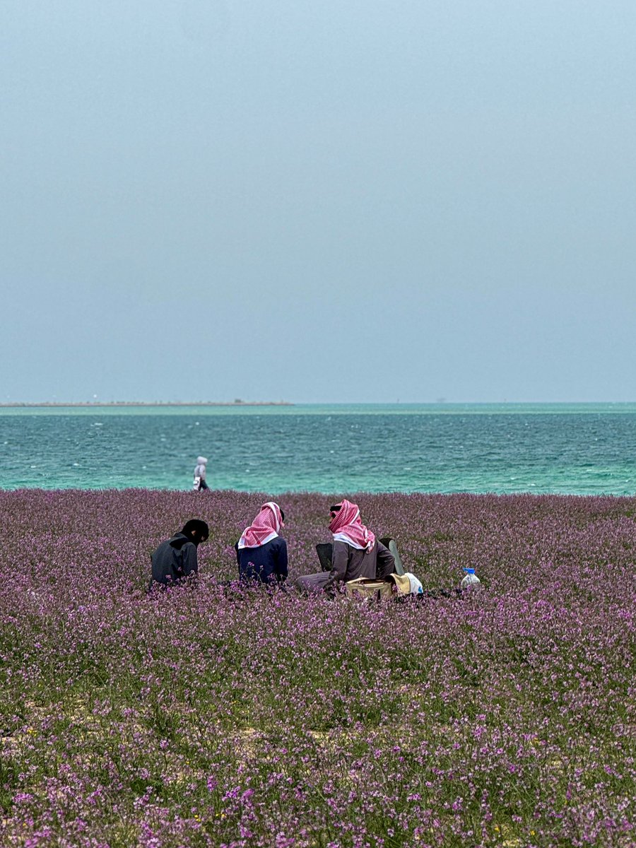 وضحى tweet media