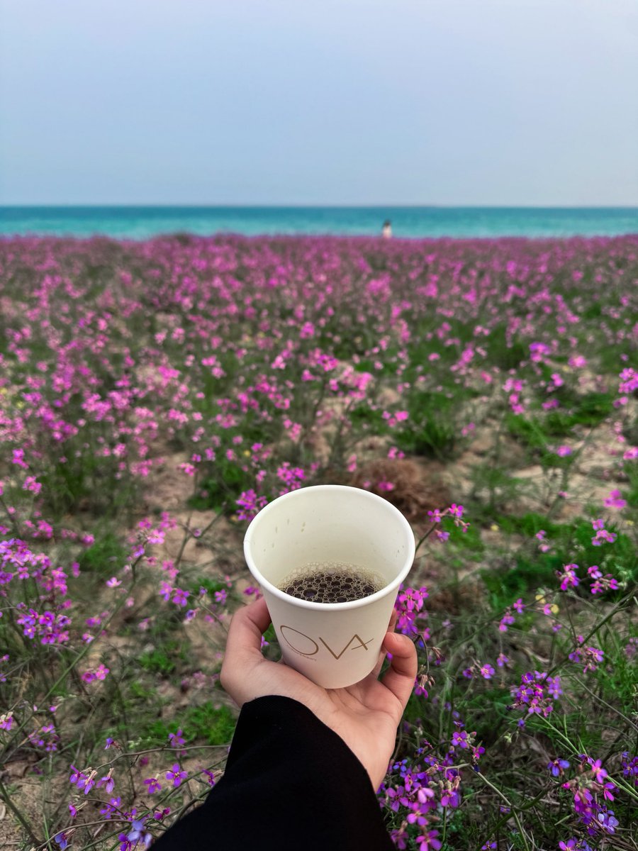 وضحى tweet media