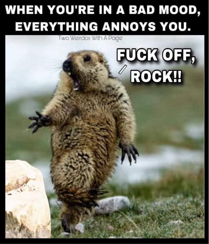 bonkerssteve's tweet image. 