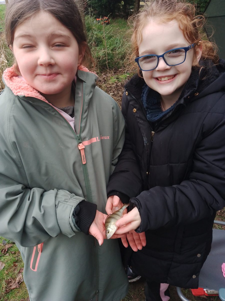 MS Angling & Education 🎣 tweet media