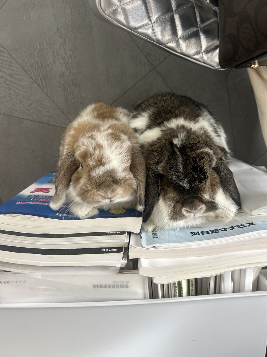 ✰*。Mayu✰*。 tweet media