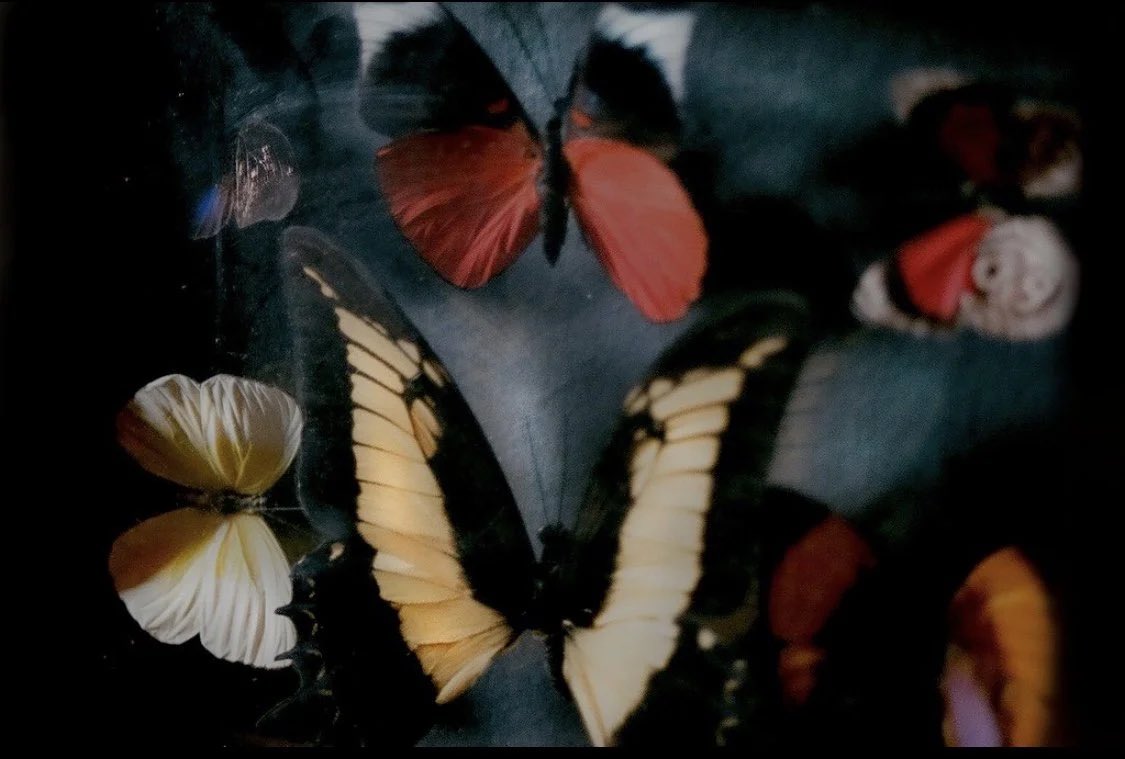 Marilyn Manson’s wife Lindsay Warner has been recently interviewed by Gata Magazine! 

Read now: gatamagazine.com/articles/art/g…