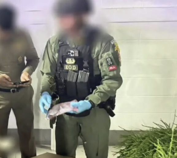 TracTerrorism's tweet image. Improvised Explosive Devices (IEDs) Discovered at Two #PTT Gas Stations in Mueang Pattani, #Pattani Province, Southern #Thailand 
trackingterrorism.org/chatter/ieds-p…