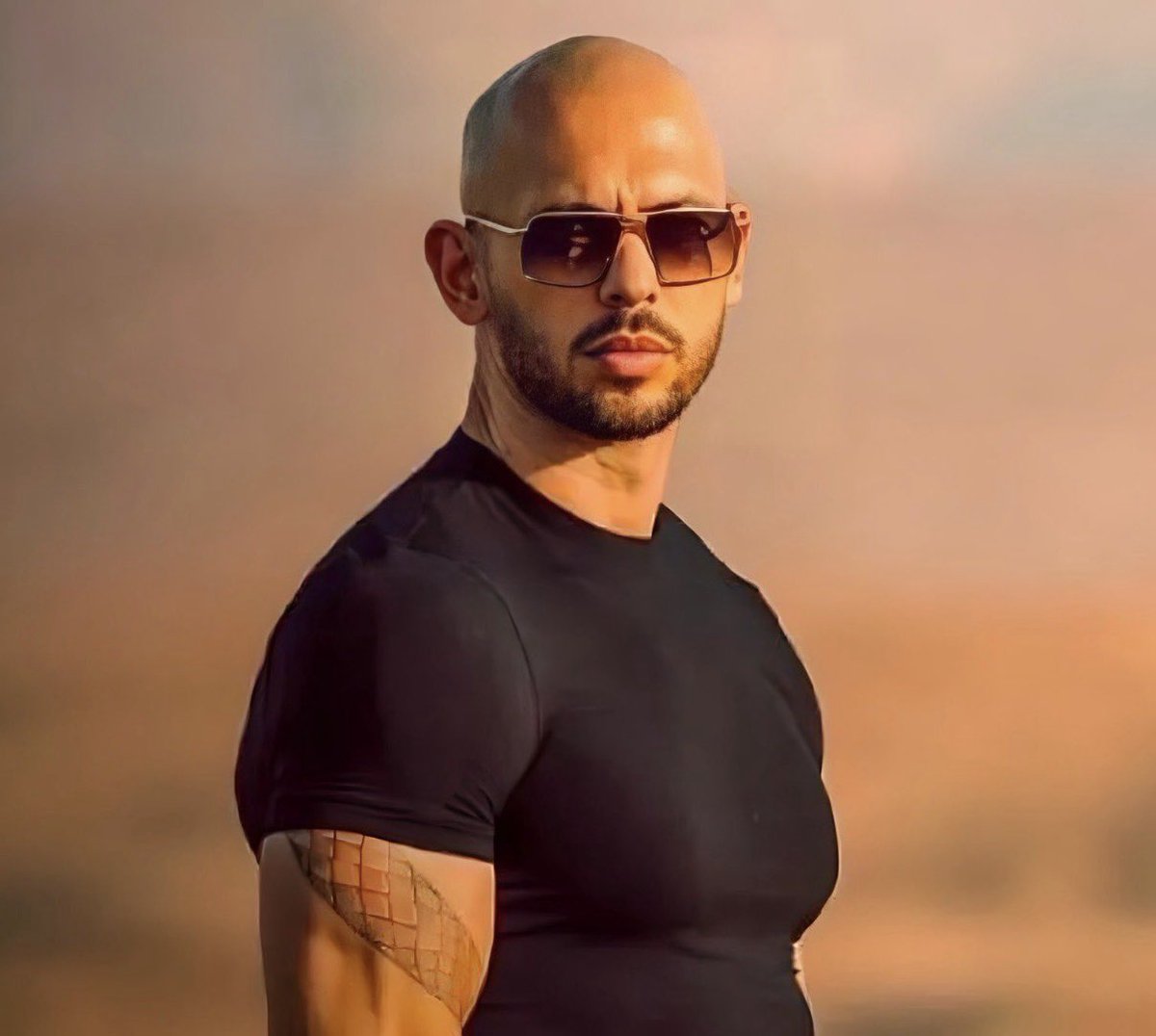 The ₿itcoin Therapist tweet media