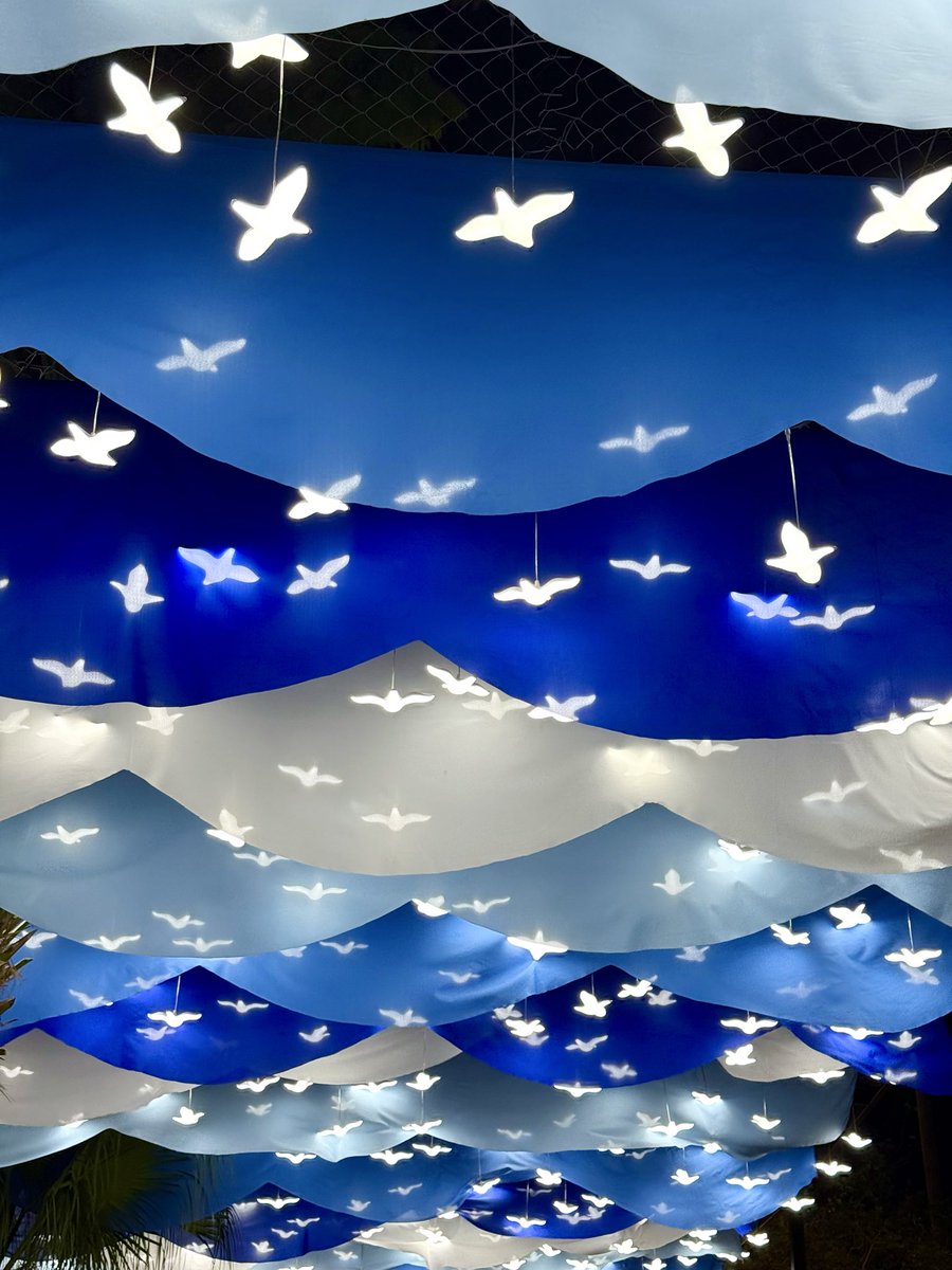 เดินออกกำลังกาย ดูเต๊งลั้ง ที่ลานมังกร 🏮#ภูเก็ต