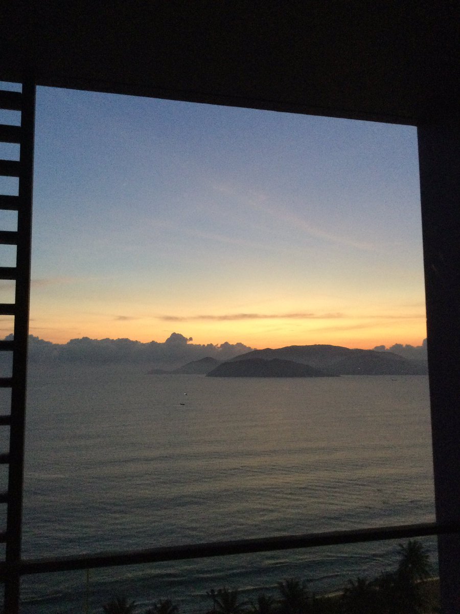 Peter Sean Woltemade tweet media