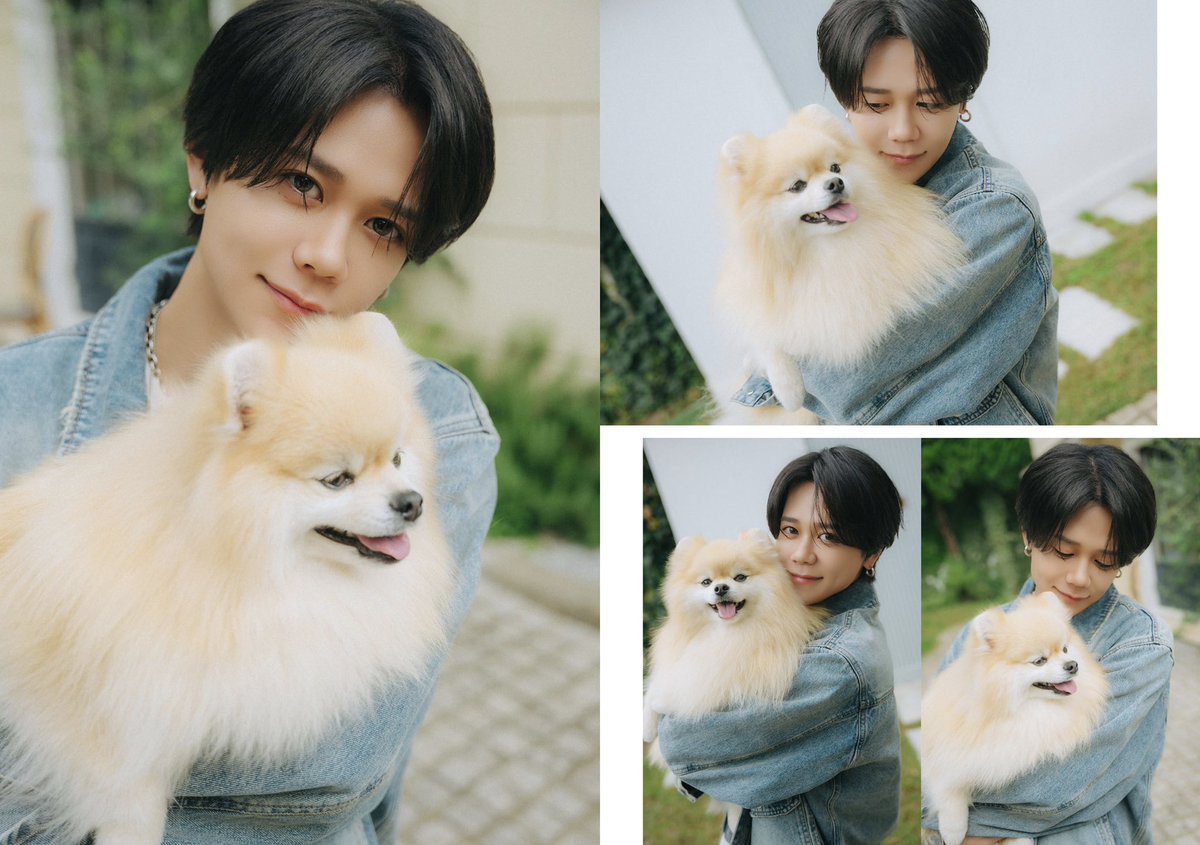 Post by ⁸¹ on X: (2/3)