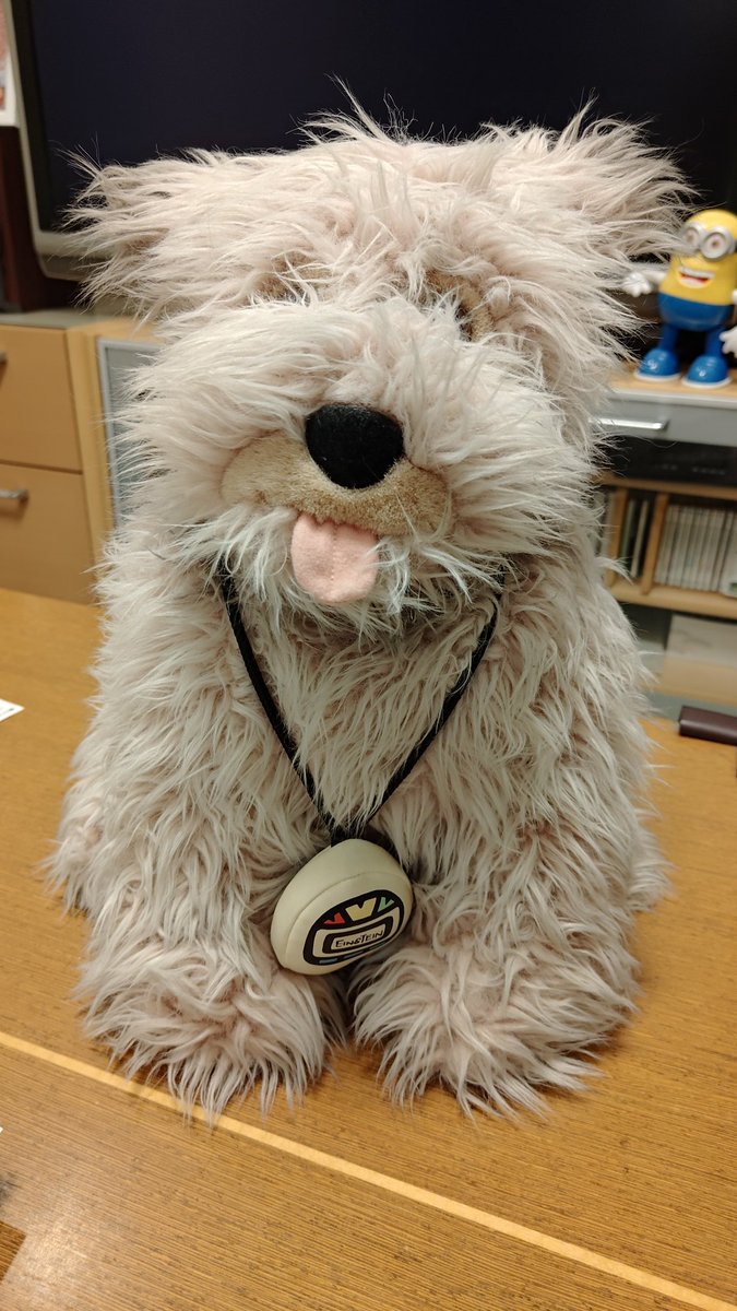 USJが25周年って聞いて目玉が飛び出た。 開園1年目にお迎えしたバック