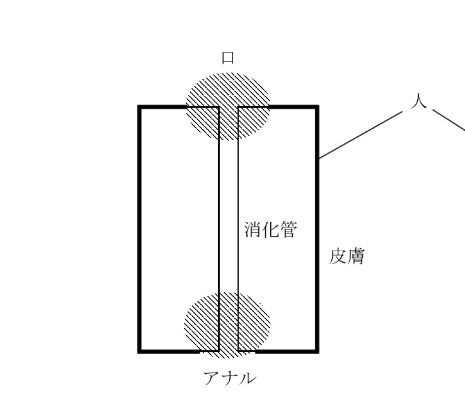 マ❗ tweet media