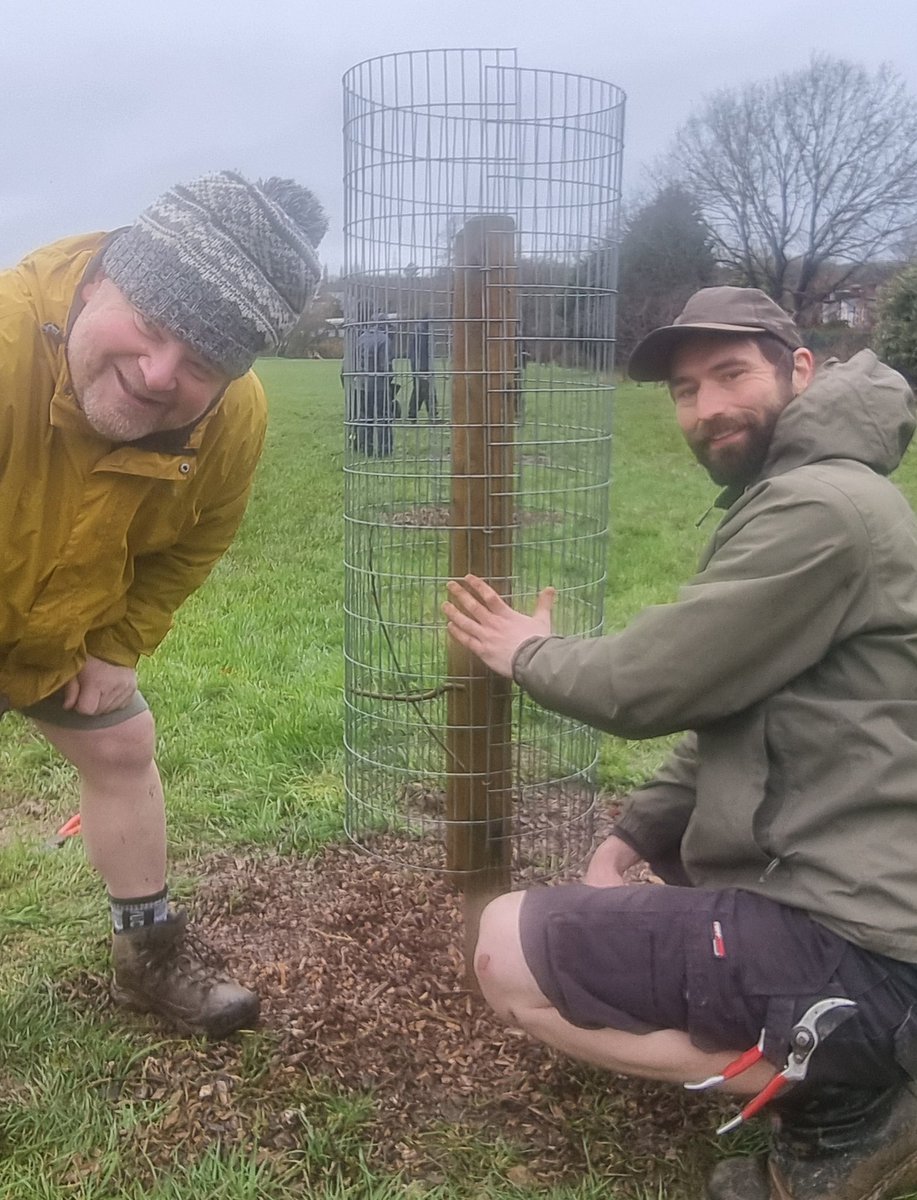 fruitnutvillage's tweet image. We've completed the #WinterPruning of the 2nd row at #NewlandsRun. We'll be back in March to work on the remaining trees  #Stirchley