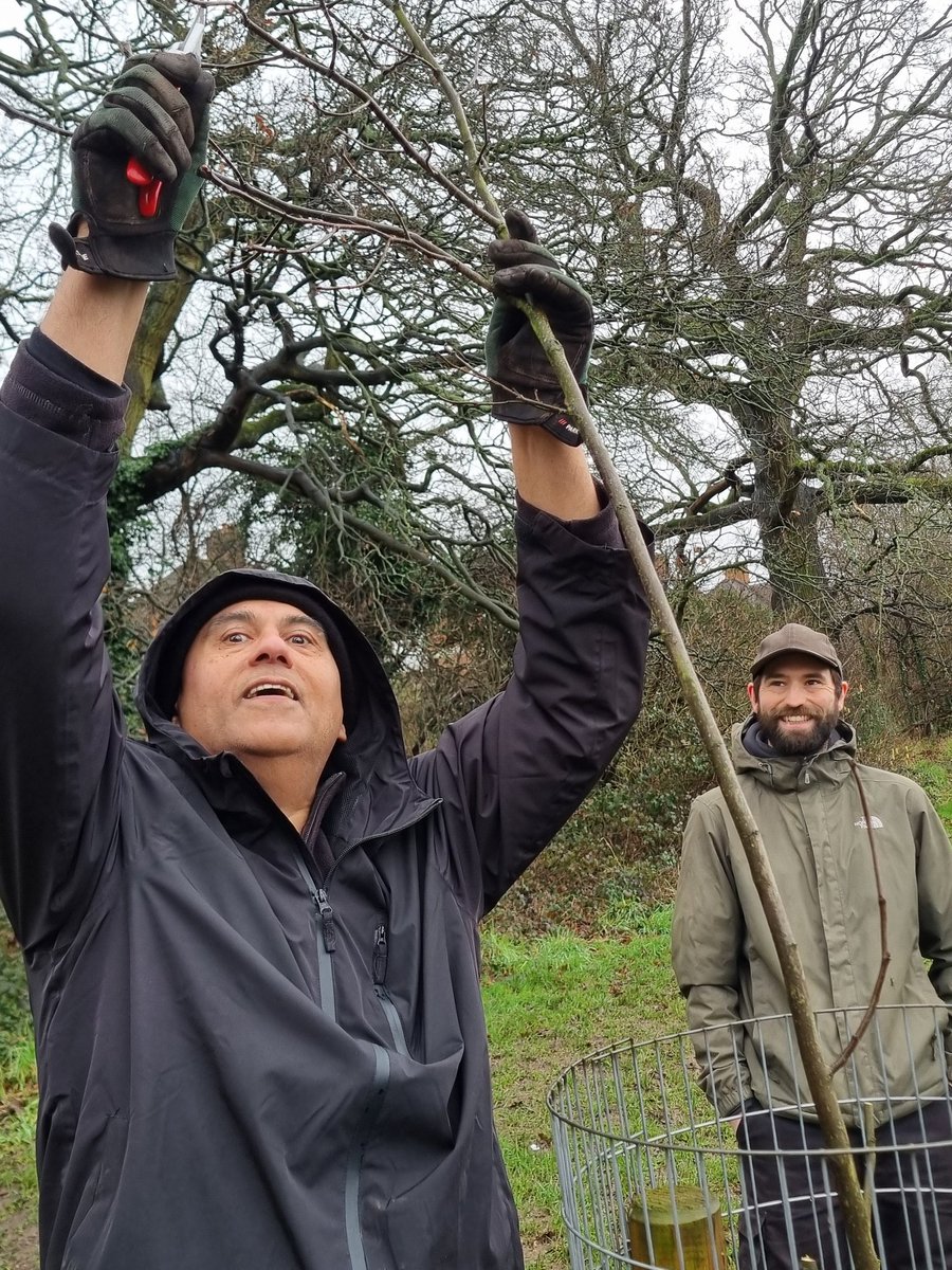 fruitnutvillage's tweet image. We've completed the #WinterPruning of the 2nd row at #NewlandsRun. We'll be back in March to work on the remaining trees  #Stirchley