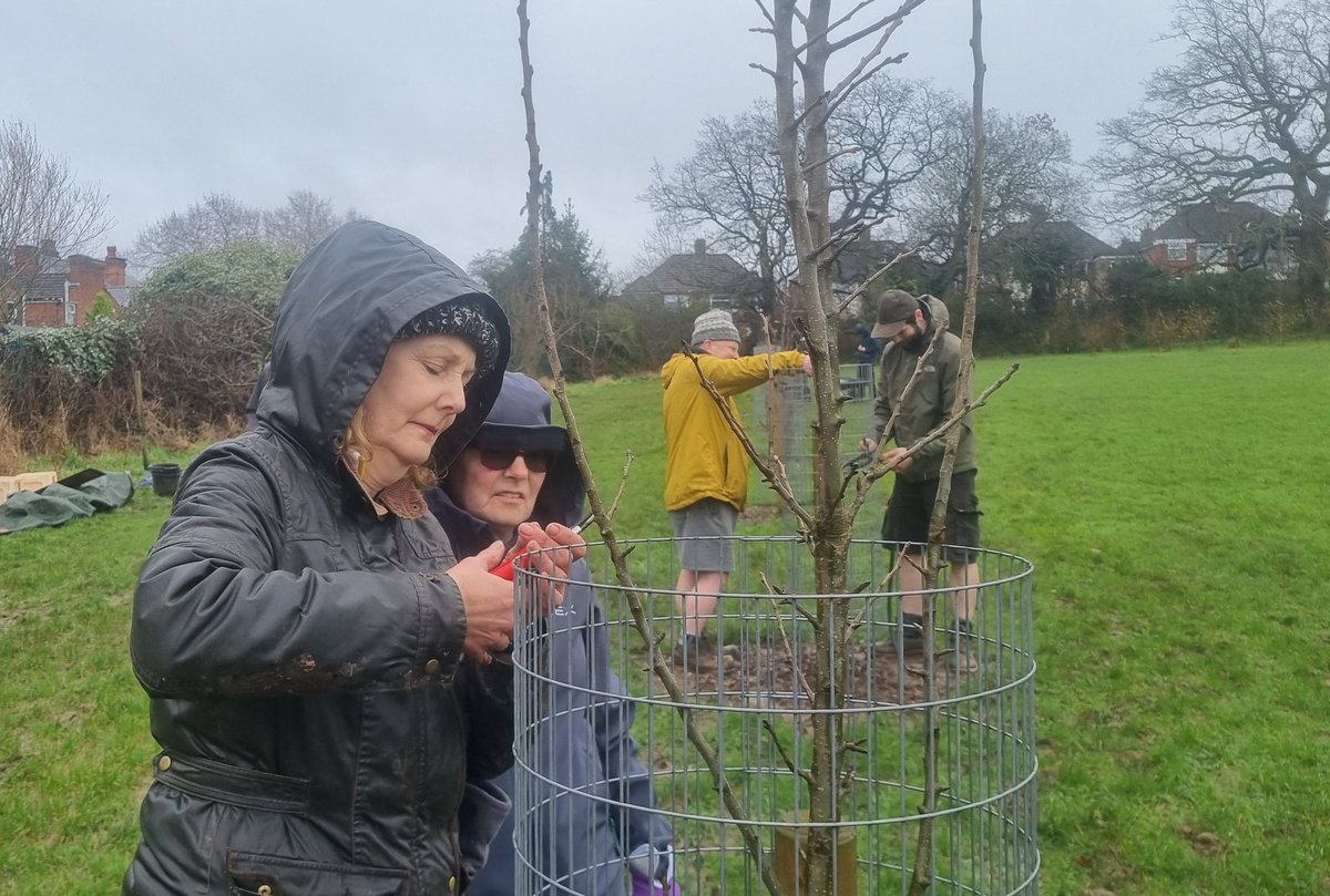 fruitnutvillage's tweet image. We've completed the #WinterPruning of the 2nd row at #NewlandsRun. We'll be back in March to work on the remaining trees  #Stirchley