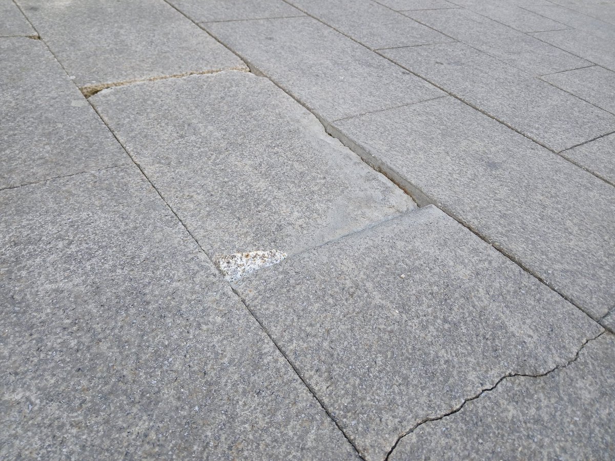 Xavier Font i Mach tweet media