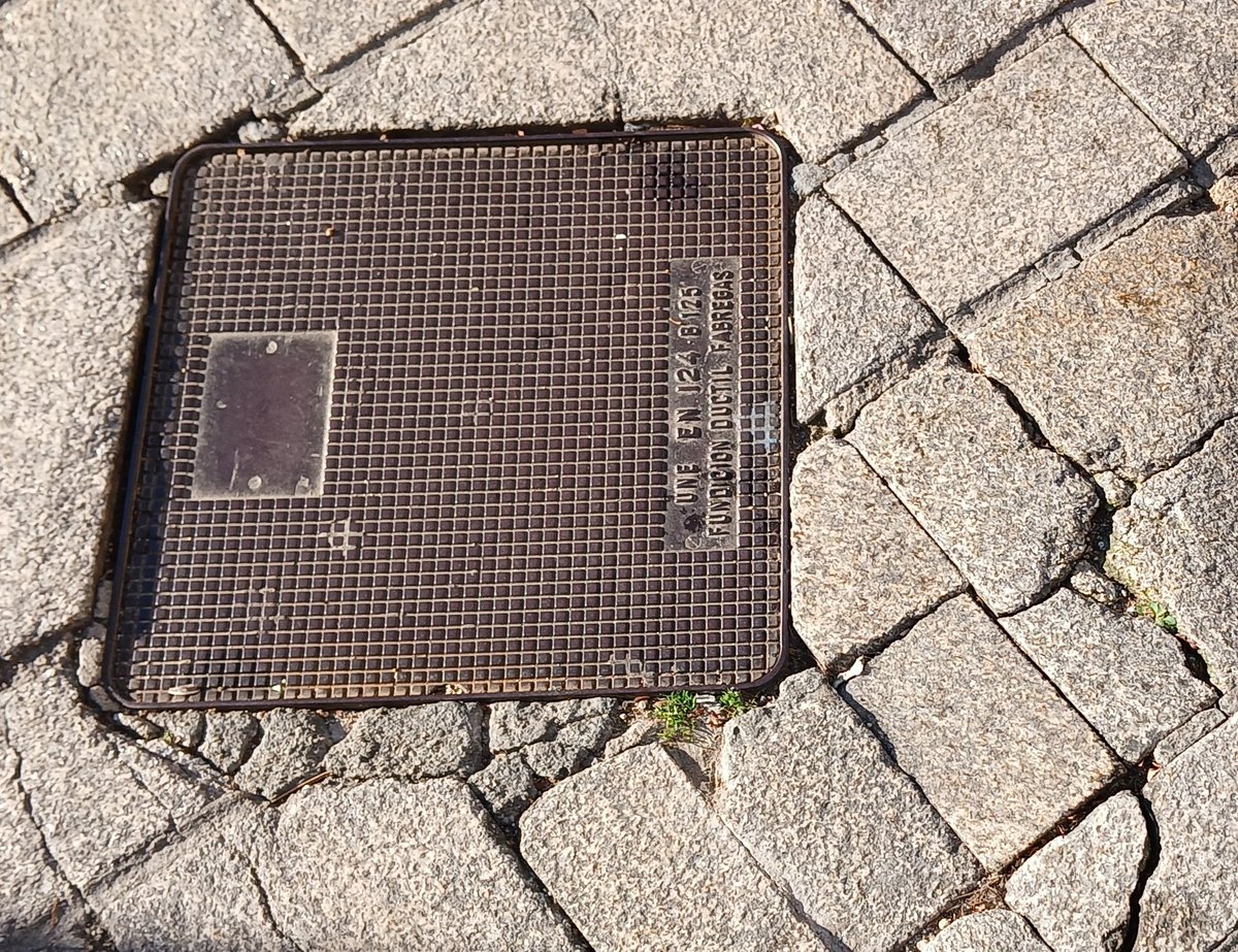 Xavier Font i Mach tweet media