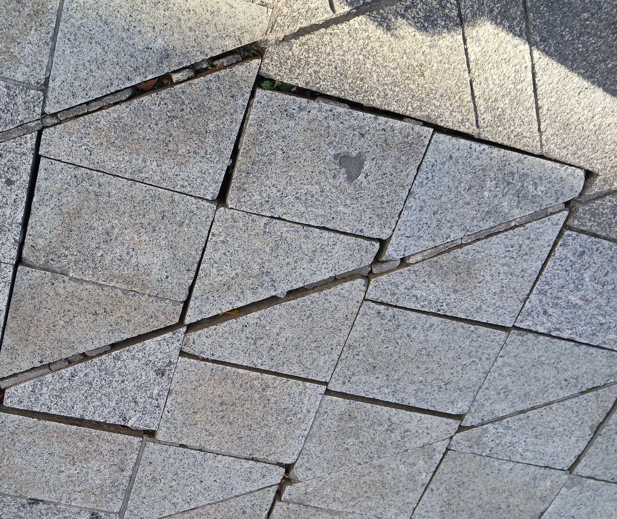 Xavier Font i Mach tweet media