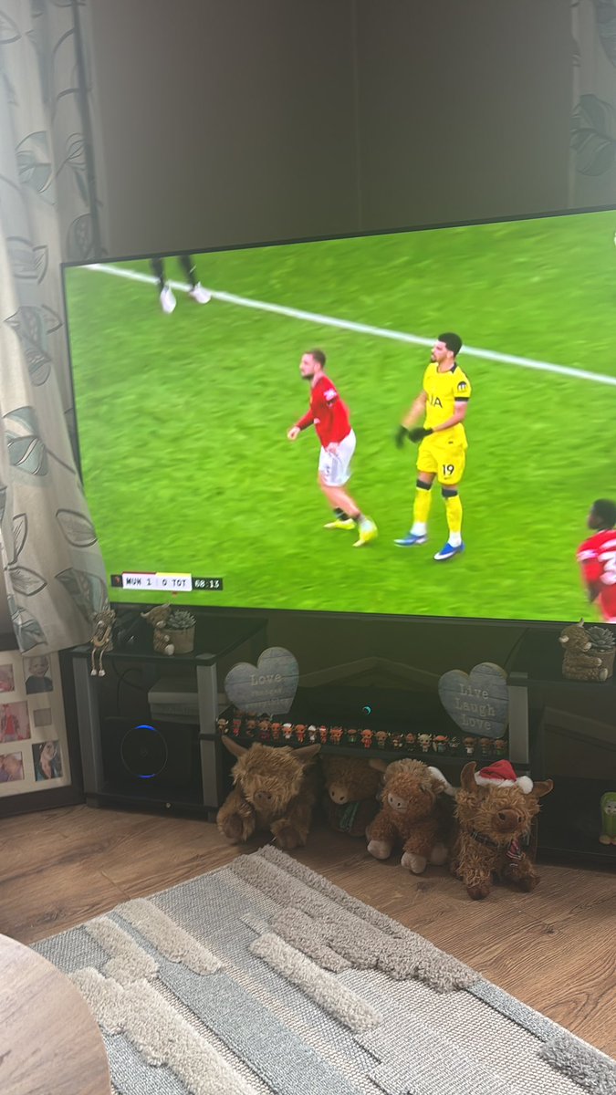 Fan of women (@andrewb54888463) on Twitter photo 