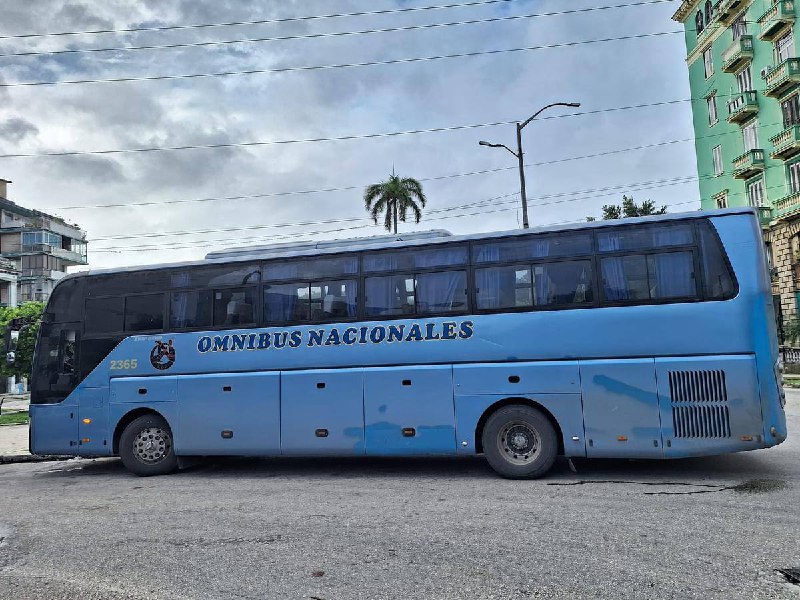 Gobierno de Camagüey tweet media