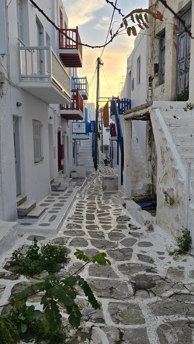 Heath Willis tweet media