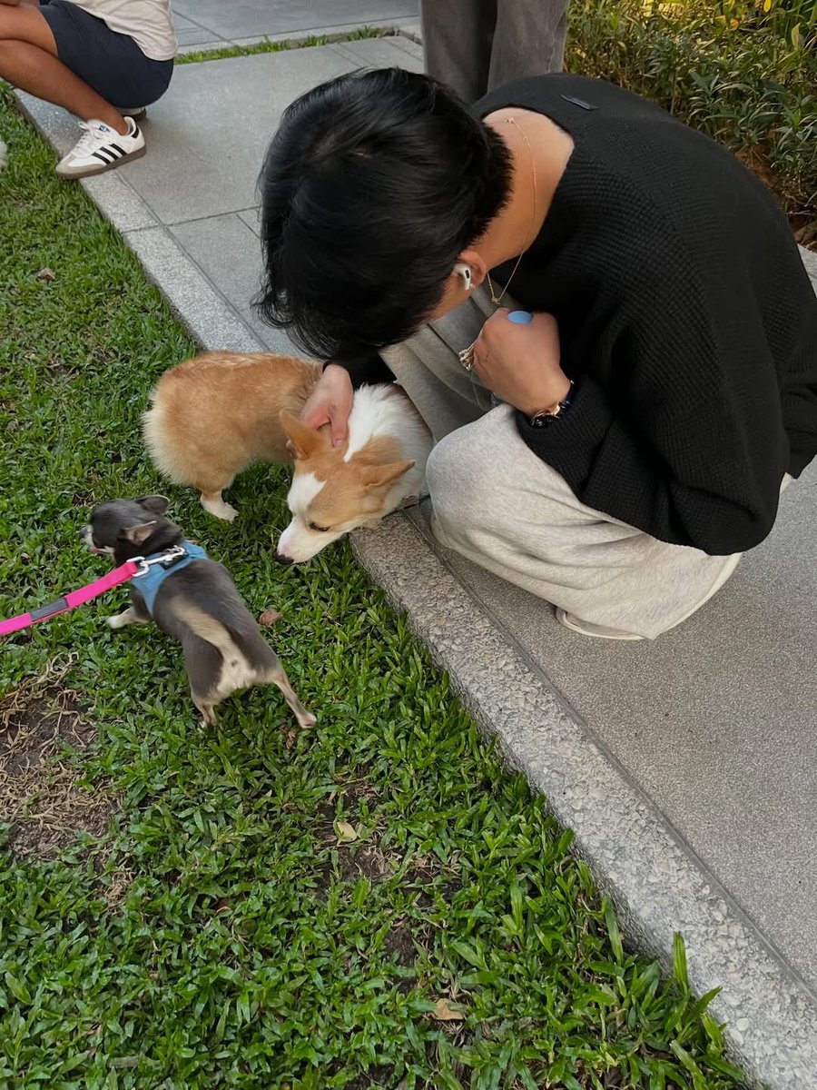 260207←✨
🐍|تحديث بامبام عبر  حسابه الانستجرام

<a href="/GOT7Official/">GOT7</a> #GOT7 #갓세븐
#Bambam #뱀뱀 #แบมแบม