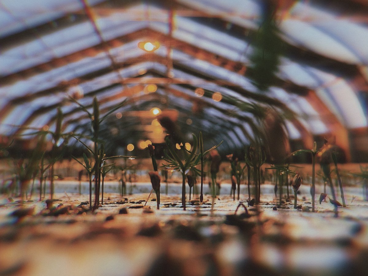 𝑲𝒊𝒍𝒍𝒔𝒉𝒐𝒕𝒔 ฅ^•ﻌ•^ฅ tweet media