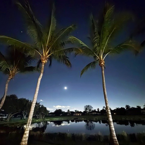 ClubatIbis's tweet image. Cool skies, calm mornings, and a fresh start. 📸 

Thank you, Michael Steinhardt, for the photo!

#SunriseSaturday #LifeatIbis