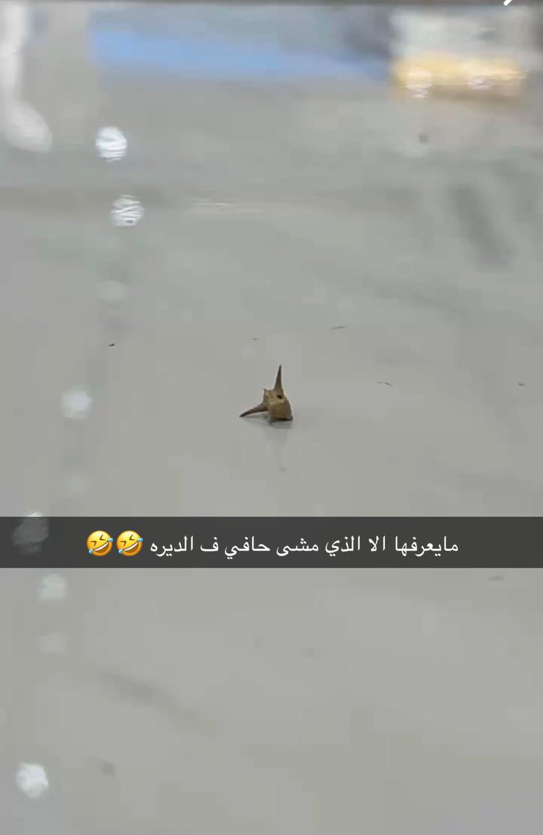 عسلهه 🍯🤍 tweet media