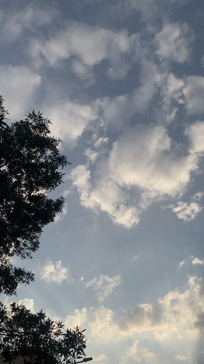 هايف بن ناجم tweet media