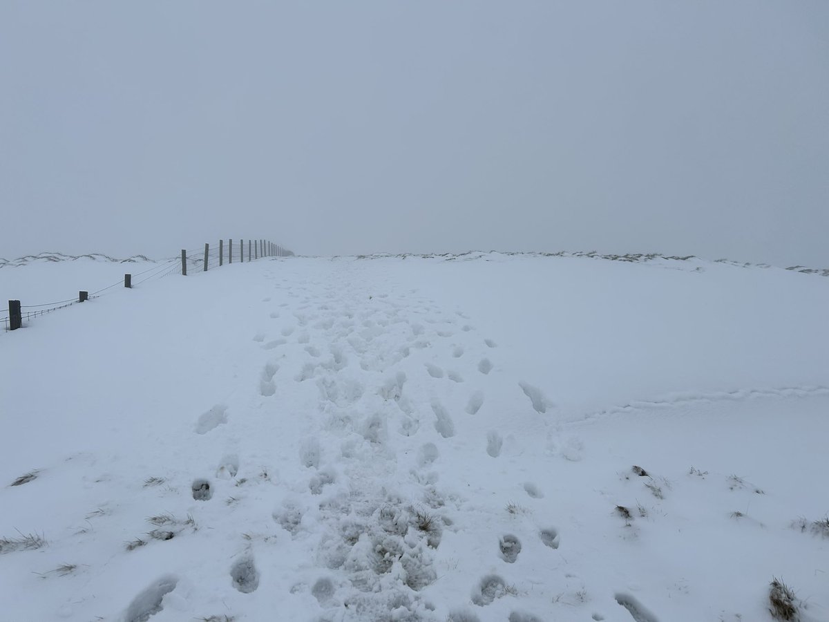 Diane Brander tweet media