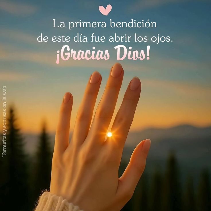 Angela25g's tweet photo. Buenos días 💕✨
#primiily #PRELEMI https://t.co/XQbSFuFCNq
