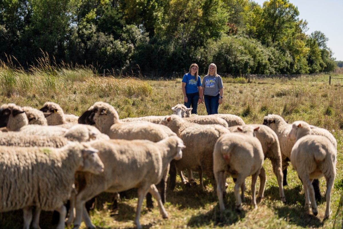 South Dakota State University tweet media