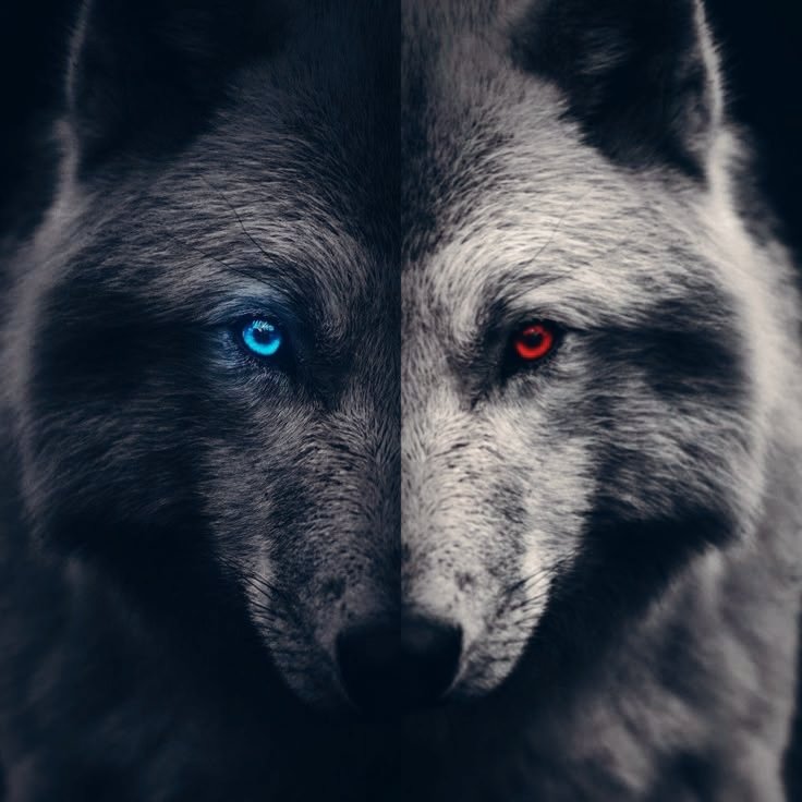 Limerence 

A #Marhoon Au