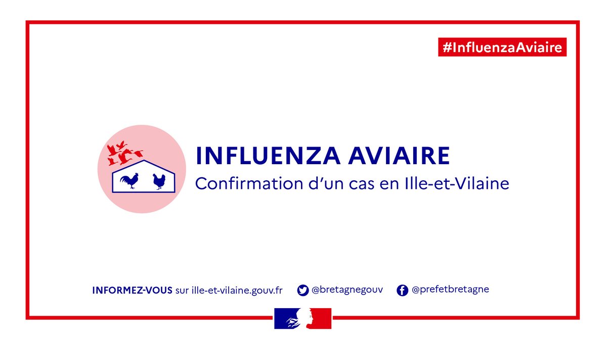 Image de Préfet de Bretagne et d'Ille-et-Vilaine - #InfluenzaAviaire | 🔴 Un cas d’influenza aviaire hautement pathogène a été confirmé ce 7 février 20