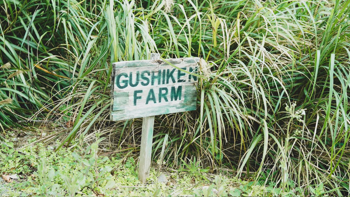 くりたろう🍰へんしゅうちょー(マツコの知らない世界出演 tweet media