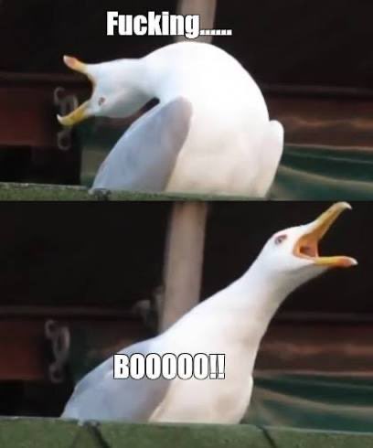 Daniel Room tweet media