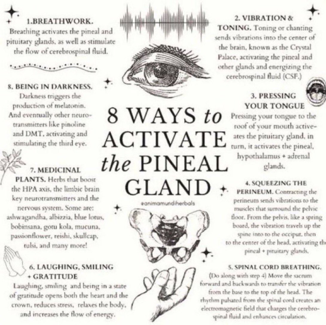 8 Ways to Activate 
The Pineal Gland 🍍🧠💡✨