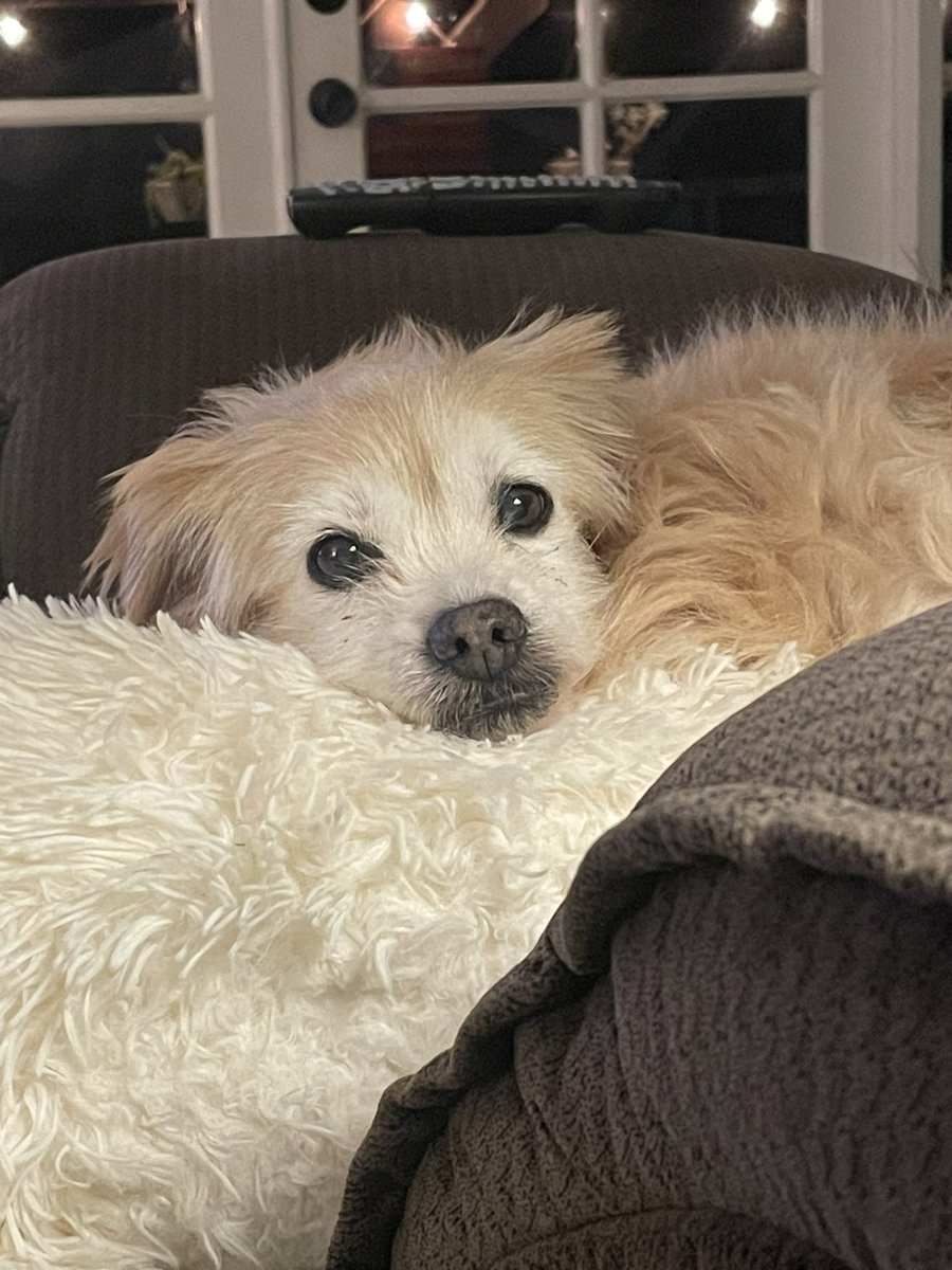 ryo 🤍 tweet media