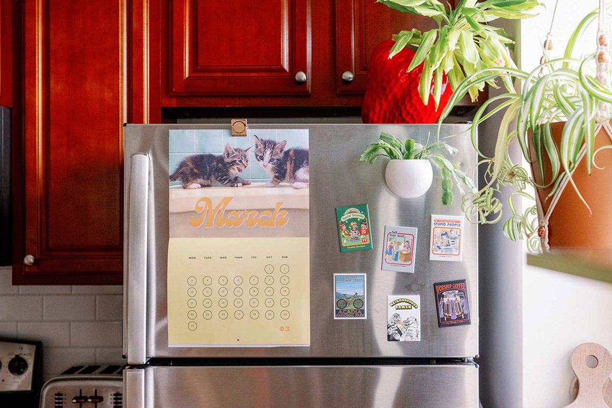 DustinMPeyser's tweet image. This Smart $20 Fridge Organizer Is a Brilliant Way to Upgrade Your Drink Storage dlvr.it/TQq9Y7 👉 Reveal Your ROI bit.ly/MyHomeAI 👈 #FridgeOrganization #HomeStorage #SpaceSaver #KitchenTips #DrinkStorage