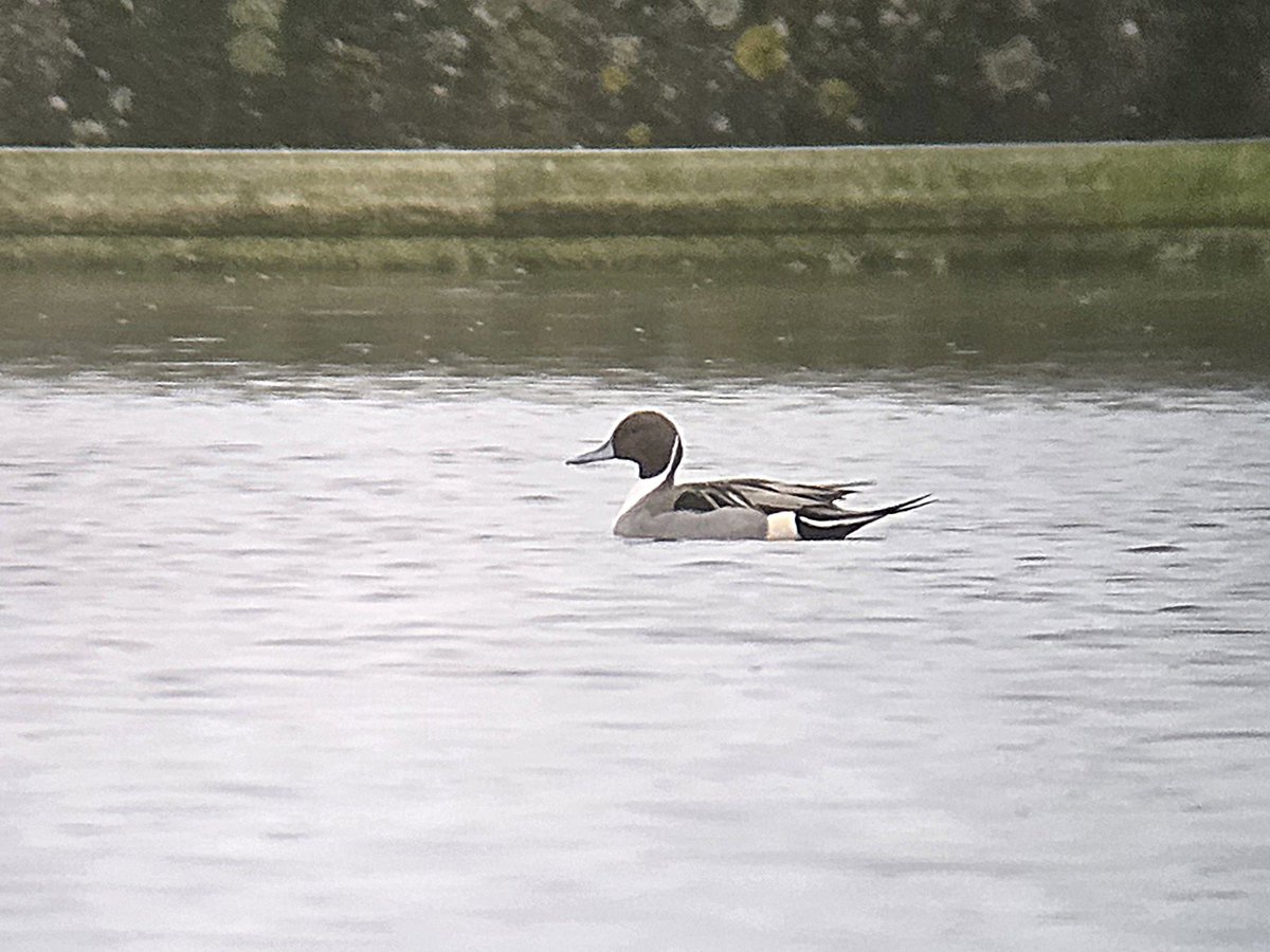 Stuart Read tweet media