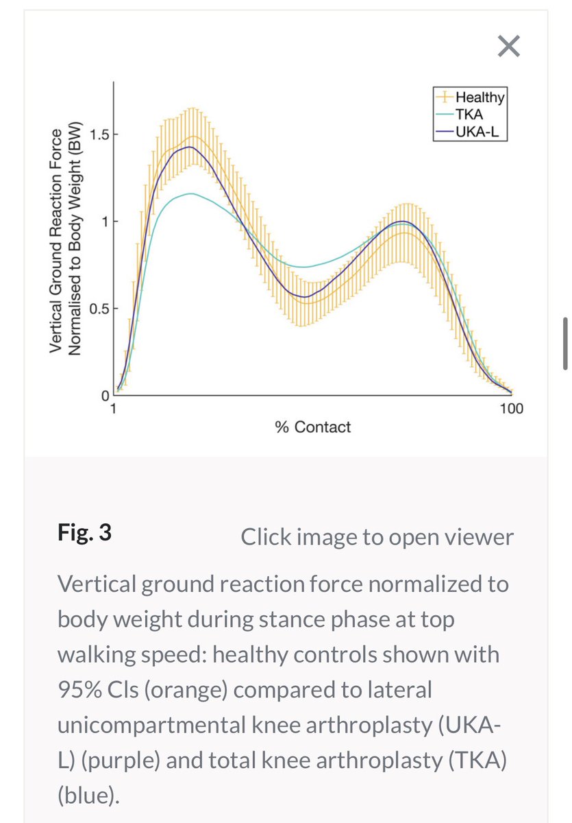 Chloe EH Scott tweet media
